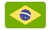 brazil-flag-icon